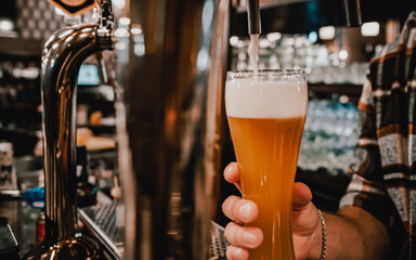 bartender pouring a draught beer in glass serving in a bar or pub
