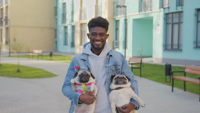 Handsome african american male in casual wear holding favourite pets while standing near modern high building. Happy young man with his cute pug doggies outdoors.