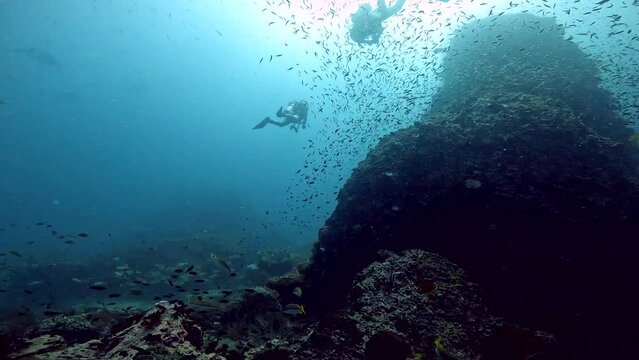 Under Water Film footage -  rock and corals with small Fusillier fish swimming about with suba diver in the distance - Sailrock in Thailand