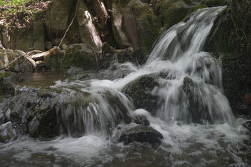 Fototapeta premium Natur