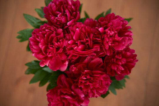 bouquet of peonies. Beautiful bouquet. Close-up of peonies. 