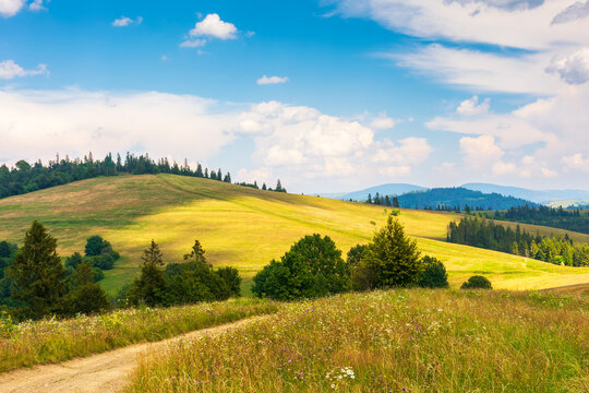 path through grassy fields. rural landscape with rolling hills and pastures in summer. trees and forest on the slopes. white fluffy clouds on the blue sky. idyllic countryside scenery of carpathians