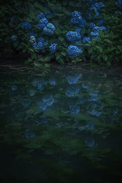 和風建築images Browse 5 005 Stock Photos Vectors And Video Adobe Stock