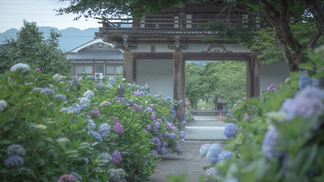 和風建築images Browse 4 9 Stock Photos Vectors And Video Adobe Stock