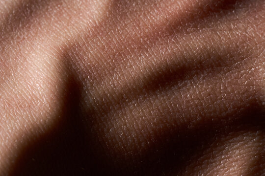 background of a pink skin texture. Healthy skin. Macro photo of skin cells.
