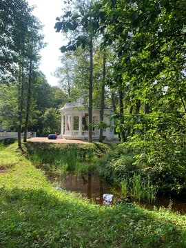 garden in the park