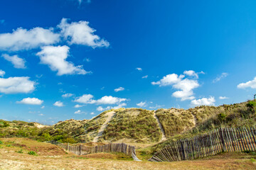 Dune landscape at De Panne, North Sea, in Belgium