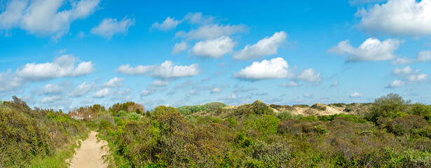 Dune landscape at De Panne, North Sea, in Belgium