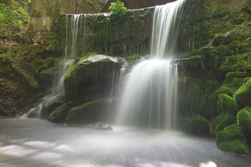 Fototapeta premium Natur