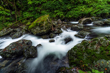 Fototapeta na wymiar 瀬戸の滝道中の渓流