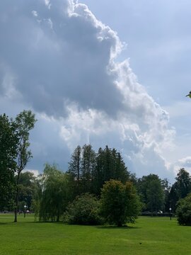 clouds and trees