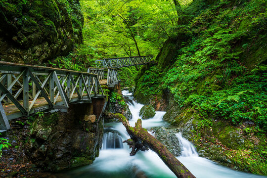 瀬戸の滝道中の三連橋