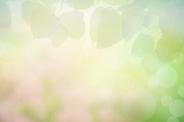 Blur circle bokeh green leaf background. Blurry yellow leaves rays light flare nature backdrop.