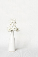 Bouquet of white lilacs in a white vase. White interior.