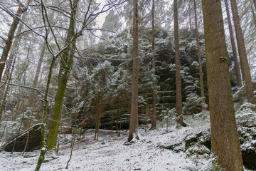 snowy hiking path at the Elbsandsteingebirge (Saxon Switzerland, Germany)