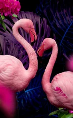 Fotobehang Collage with Gorgeous Flamingo birds. Tropical Theme Wallpaper with Flamingos. Summer Natural background. © Hanna Aibetova