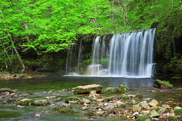 Fototapeta premium waterfall in the park