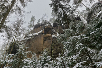snowy hiking path at the Elbsandsteingebirge (Saxon Switzerland, Germany)