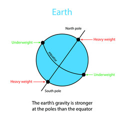 Fototapeta premium illustration of physics, The earth's gravity is stronger at the poles than the equator, gravitational force, the gravitational force acting on the object
