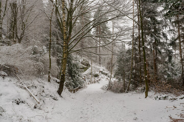 snowy hiking path at the Elbsandsteingebirge (Saxon Switzerland, Germany)