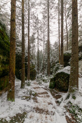 snowy hiking path at the Elbsandsteingebirge (Saxon Switzerland, Germany)