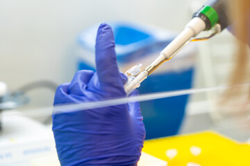 Scientist pipetting sample into vial for DNA testing. Scientist loads samples DNA monkeypox...