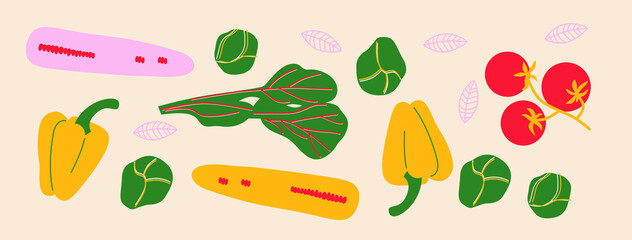 Cute appetizing Vegetables collection. Decorative abstract horizontal banner with colorful doodles. Hand-drawn modern illustrations with Vegetables, abstract elements. 