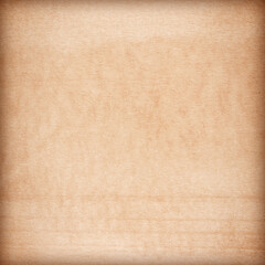 Old Paper texture. vintage paper background or texture; brown paper texture