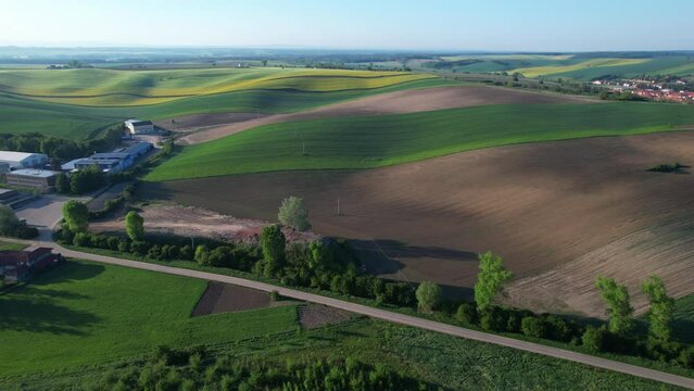 Beautiful landscape on wavy fields with wheat and rapeseed. South Moravia, Moravian Tuscany in the Czech Republic. Europe. View from above.