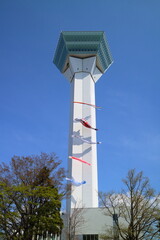 函館　五稜郭タワーとこいのぼり
