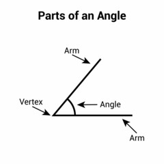 Parts of an angle in mathematics