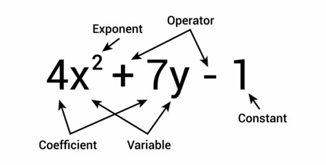 parts of polynomial algebraic expressions