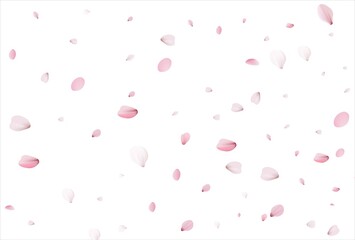 Sakura petals. Cherry petals backdrop