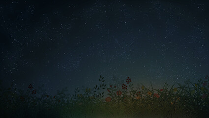Fototapeta na wymiar night sky background illustration wild flowers dark blue