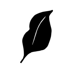 Palm leaf vector silhouette. Black on white. Vector illustration