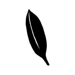 Palm leaf vector silhouette. Black on white. Vector illustration