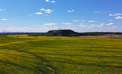 Aerial view of agro rural yellow rapeseed fields with power lines and cables