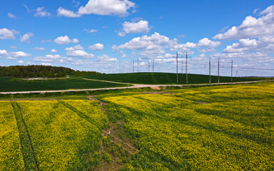 Aerial view of agro rural yellow rapeseed fields with power lines and cables