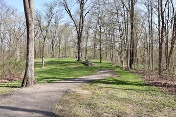 Fototapeta na wymiar The empty picnic area under the trees in the park.