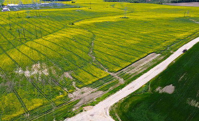 Fototapeta premium Aerial view of agro rural yellow rapeseed fields