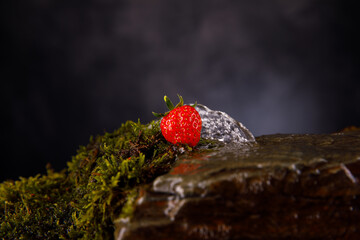 Erdbeere mit künstlichen Wasserfall mit Moos auf Schiefergestein