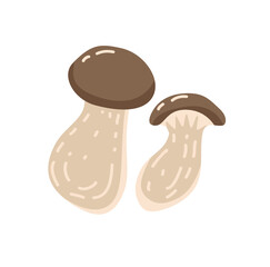 Fototapeta premium Composition of two raw edible mushrooms isolated on white background. Autumn forest food. Colored flat vector illustration of fungus