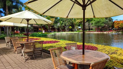 pool and chairs in the garden