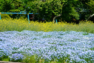 It is pretty warm today