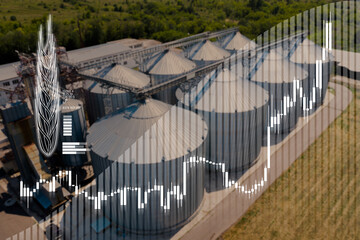 Wheat price growth chart against the background of grain silo