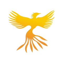 phoenix logo template. fire bird sign and symbol.