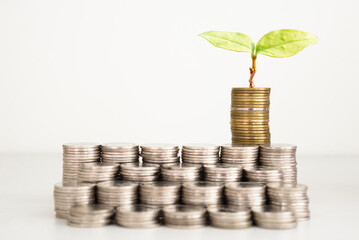 green seed growth on coins stack with white background. money saving. business investment successful growing concept.