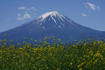 It is pretty warm today