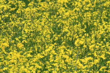 It is pretty warm today