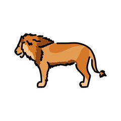Lion color line illustration. Animals of Africa.